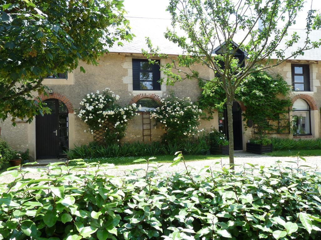 La Ligne Bed & Breakfast Angles-sur-l'Anglin Bagian luar foto