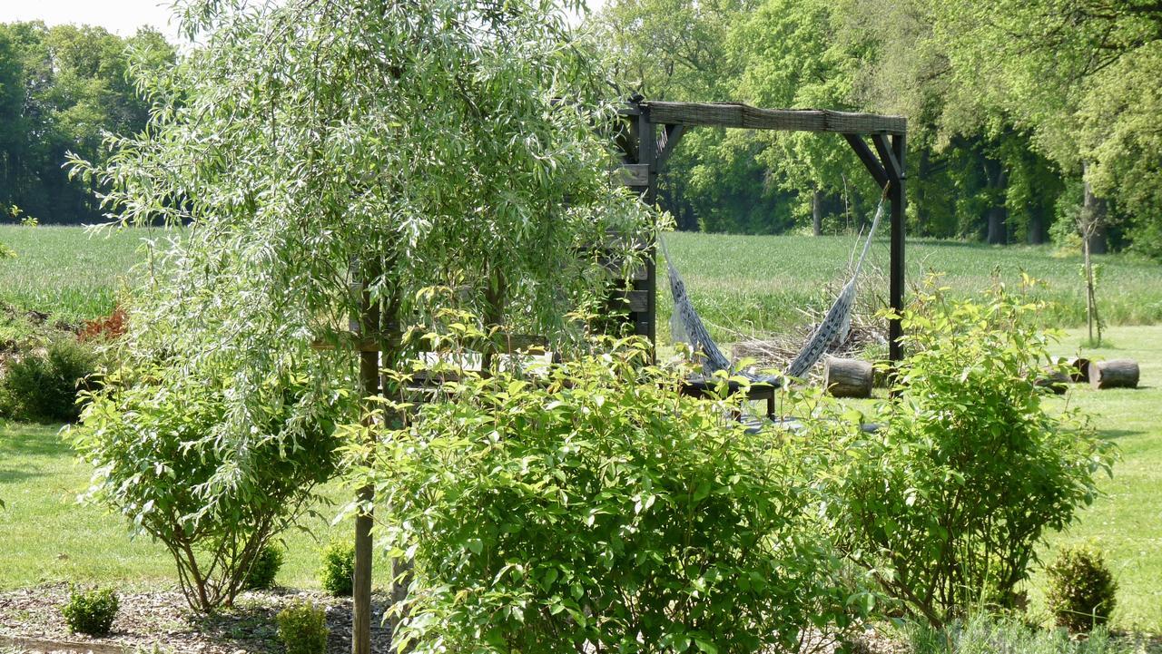 La Ligne Bed & Breakfast Angles-sur-l'Anglin Bagian luar foto